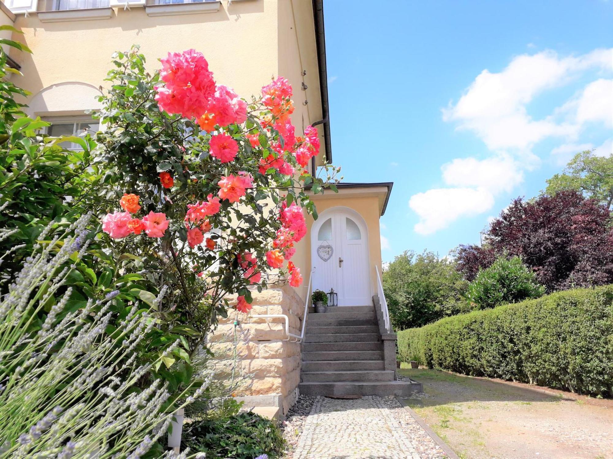 Freia - Exklusive Zum Erholen & Entspannen Appartement Dresden